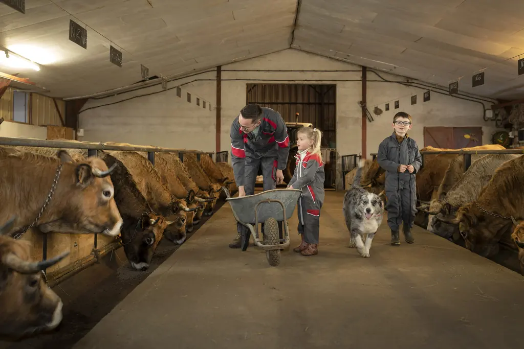 La famille Gras avec leurs vaches Aubrac à la Ferme du Graillou – vie à la ferme à Cézens, Cantal