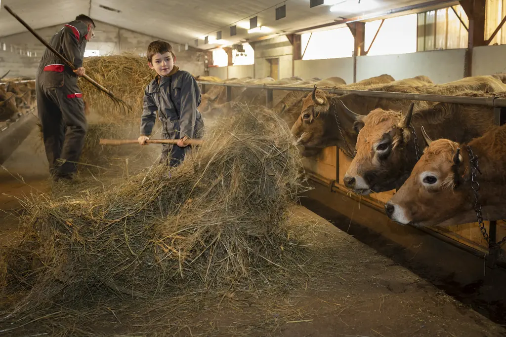 Thomas Gras travaille dans la grange en pierre de la Ferme du Graillou à Cézens dans le Cantal